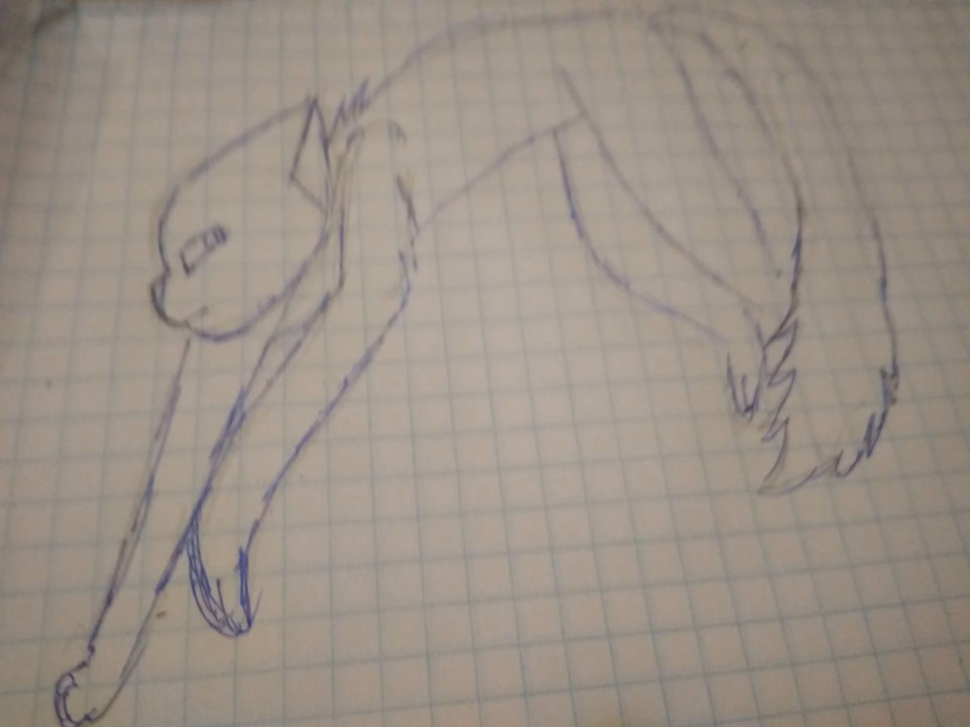 1e7a33c10951ec0daf030f21a8b480b2.jpg