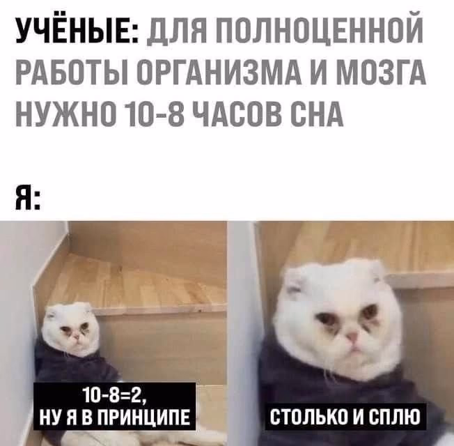 1e82cffe691ee7abc297b029ef811359.avif