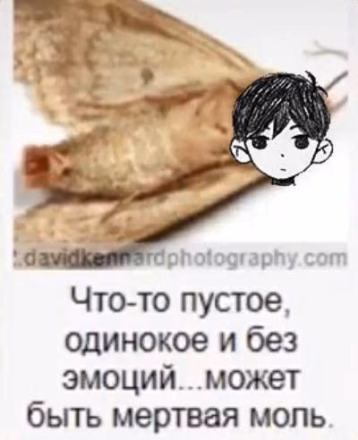 1e95f7178ed3b2d44d428076d928938b.jpg