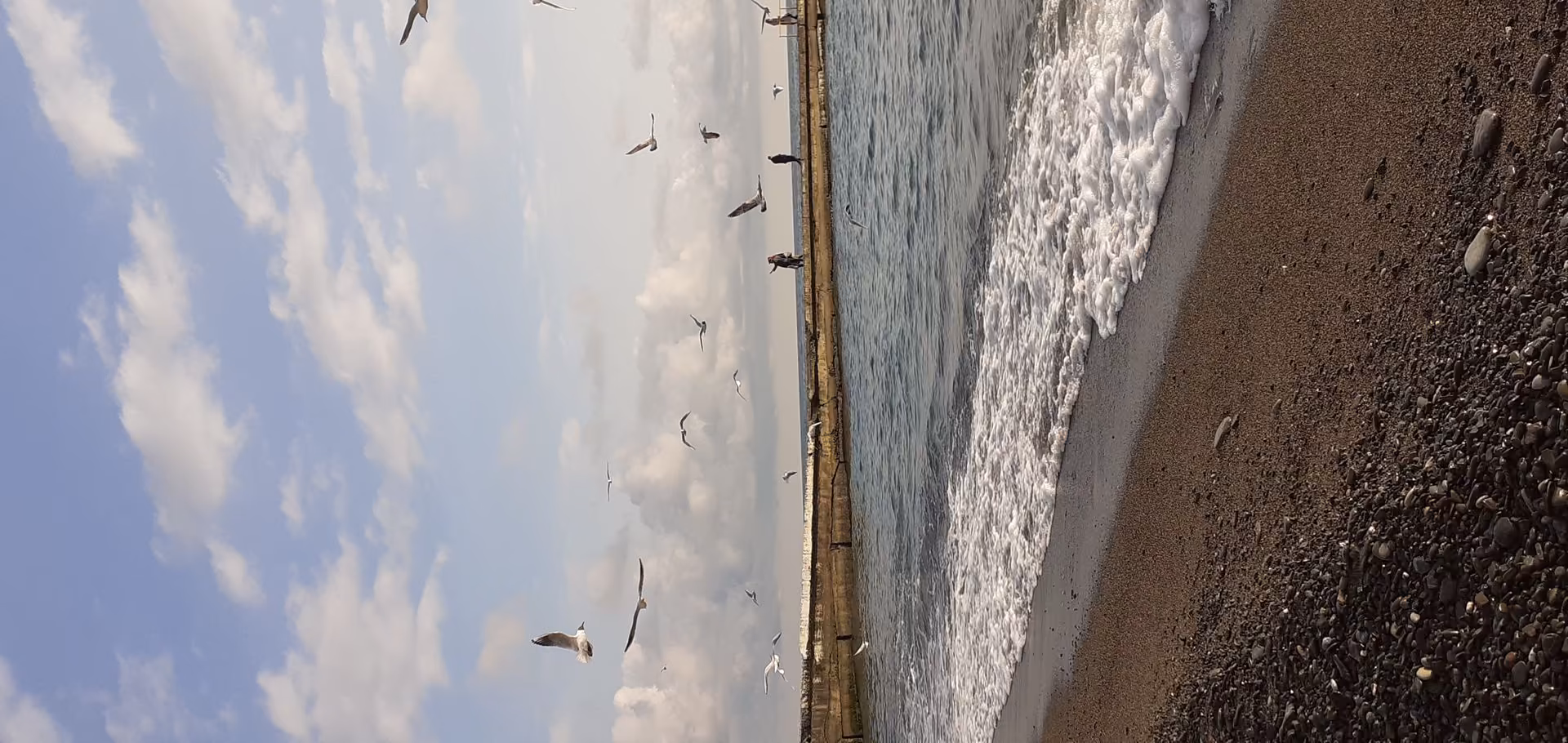 1ebbce39475016129512c5a81fabc841.avif