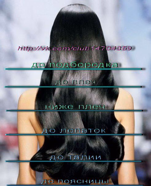 1ecfa58e82a4ca854a1bbd672a633c28.avif