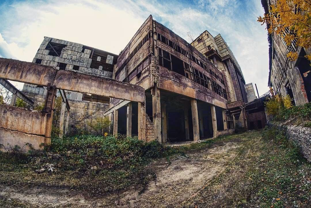 1ed49d06d00a83b0bb3d0a37f7e089fe.avif