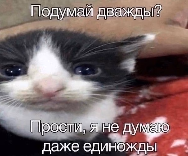 1ee97dcdcaff5e3750132c57f5aa00f2.jpg