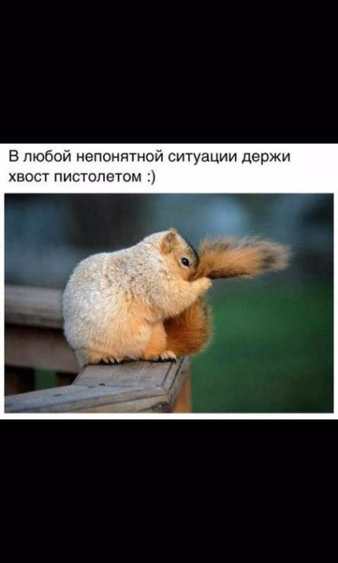 1eee3b4d0178a753a91a6f61e62daf30.avif