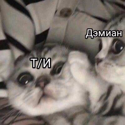 1f09f9dc81deb46c41ad4b75883d94bc.avif