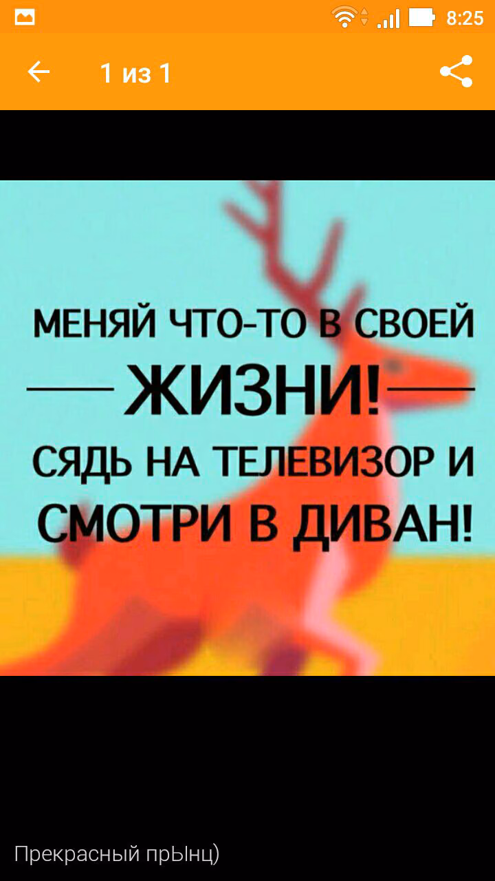 1f132cd3978703c6fdfb6895a29902f6.jpg