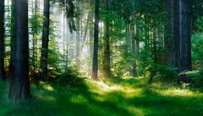 1f14eccd2d17be40bba38befbd04ff61.avif