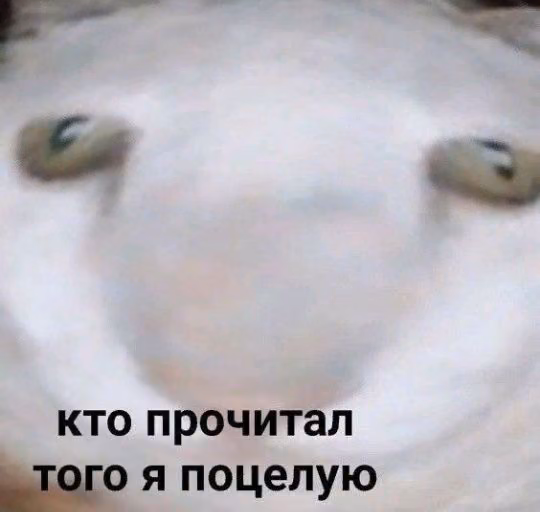 1f212f5f82ebdd3df3d1a2ea91085c68.jpg