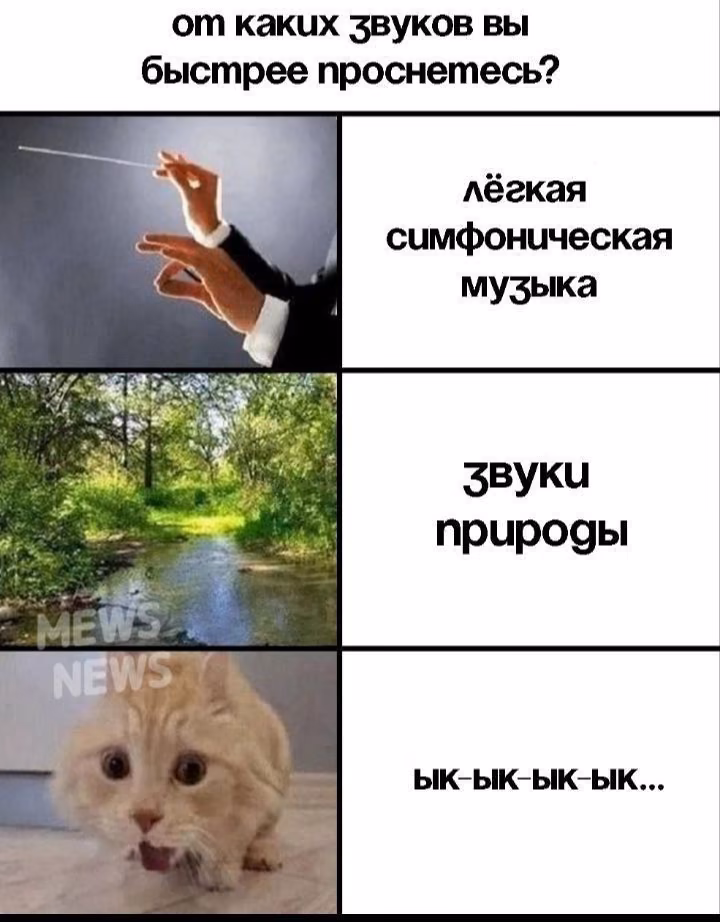 1f23b4a6d886476562011a2a13eaac5d.avif