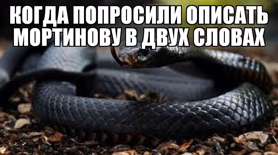 1f2929ed25a3fb0e623306dea2e47121.avif