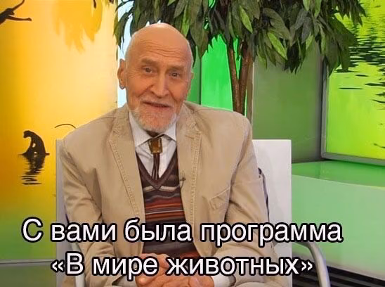 1f316ef4b0a44f88cd726640b64fe90f.jpg