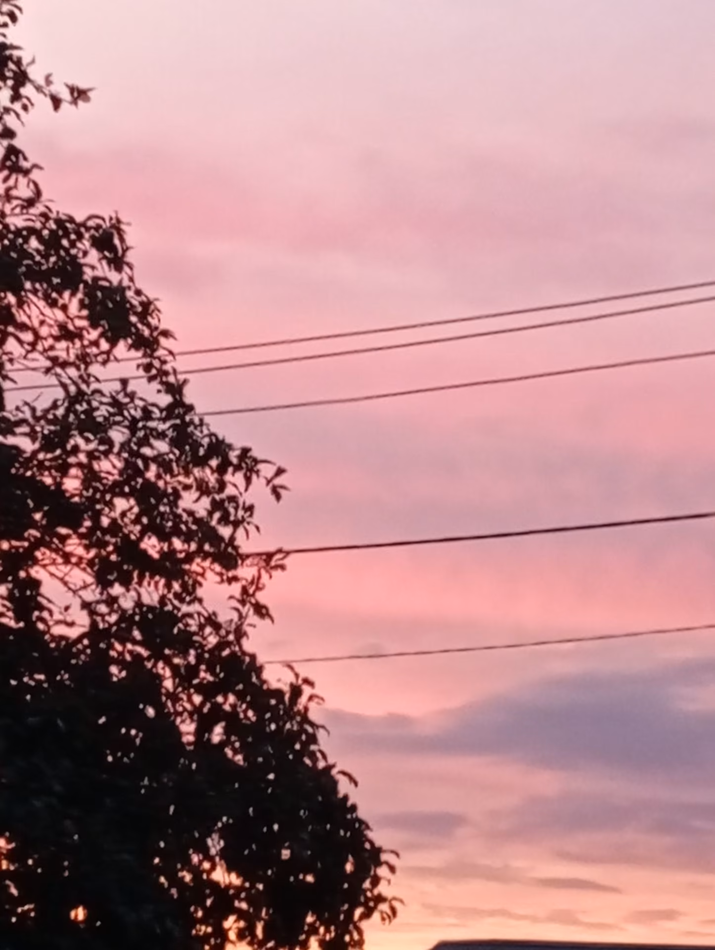 1f3d090e3ba0e57878faea7c87999340.jpg