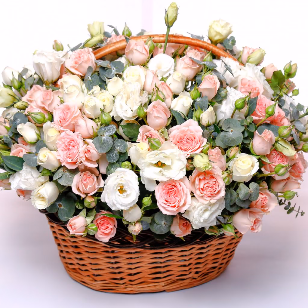 1f4cc6dd78d73500ab857cc137849905.avif
