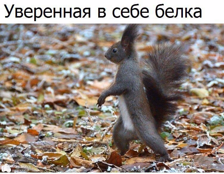 1f5c84ac55ba0f1f8fcfdd55f1abab5e.jpg