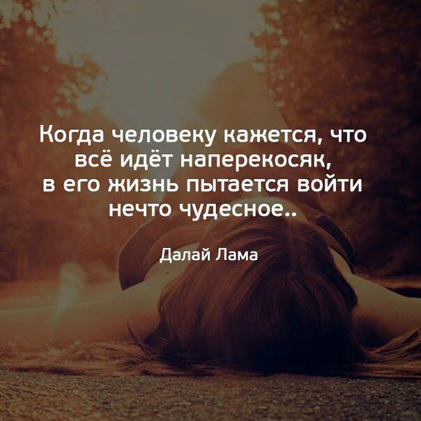 1f5d967635e3ed364158b910e4268d09.jpg