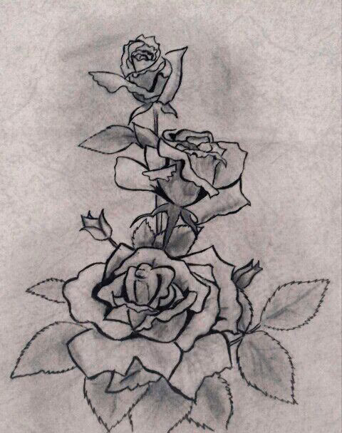 1f5ea4af729a2558f6703989ff79ebee.avif