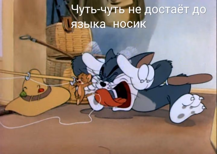 1f6fd42f66a12c51ae56fbac44367d23.jpg