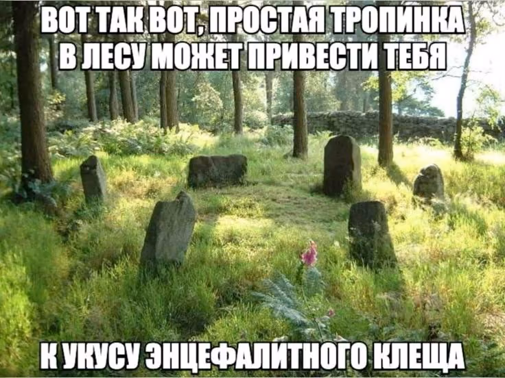 1f79d85bb5fd5b6b57dc3f7f43c7d5c8.avif
