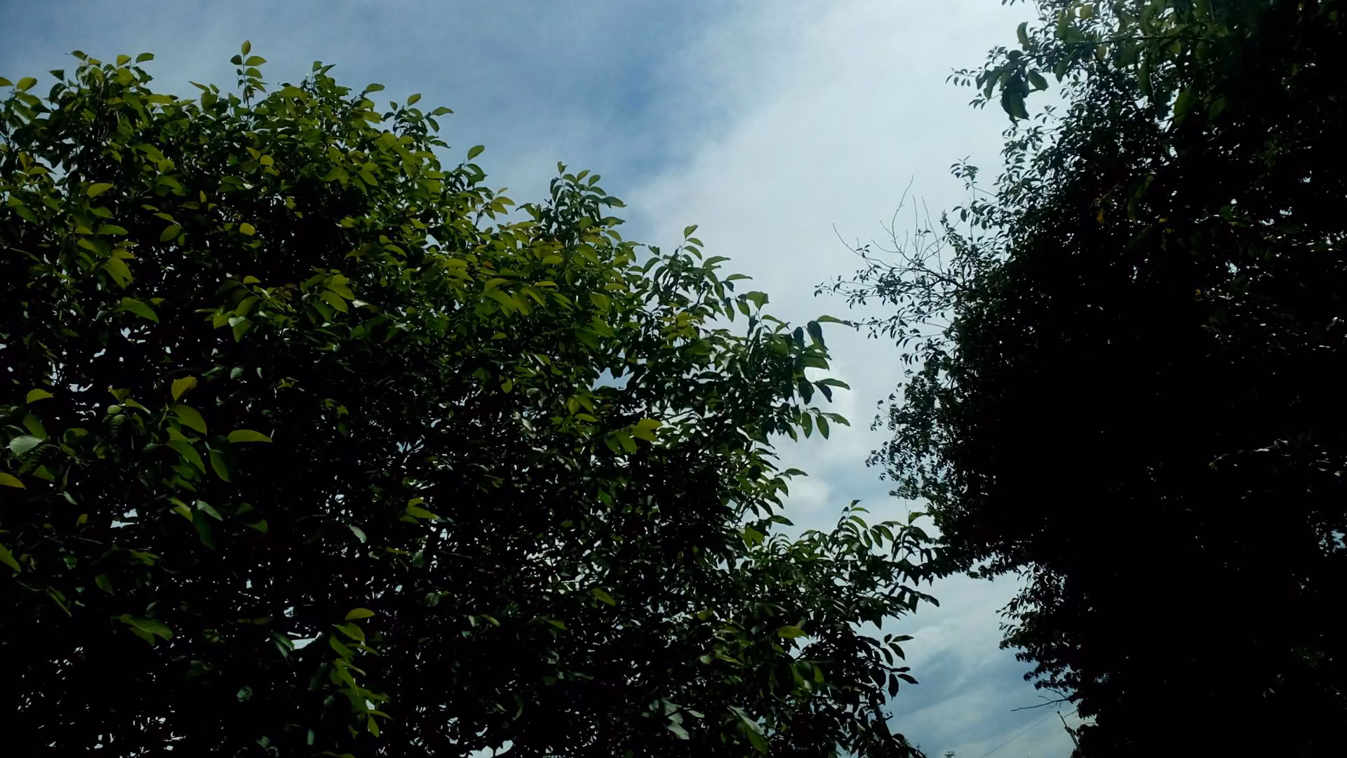 1f87942c1b94499f093957944aa9efe0.jpg