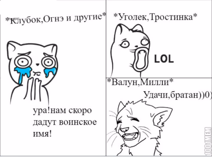 1f8860c44a104f46a6c9950902a89d88.jpg