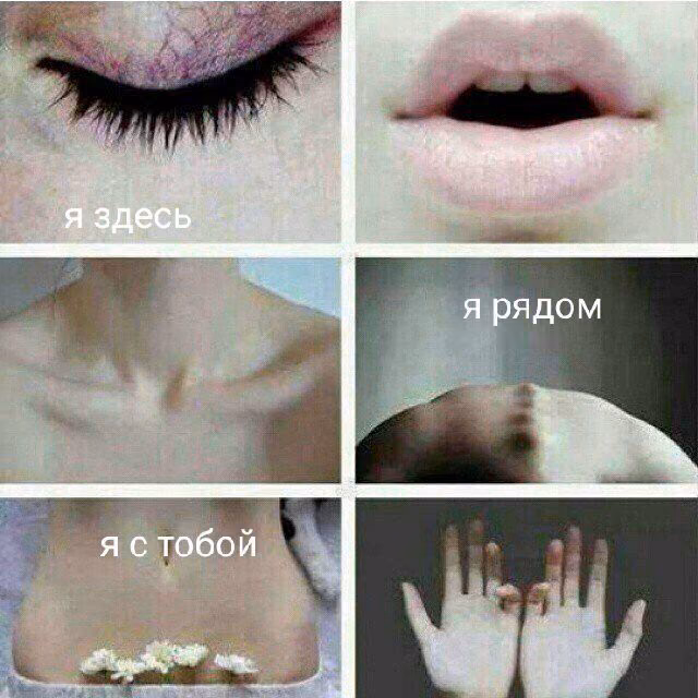 1f8e65815f3e9b69e13c716e69403687.jpg