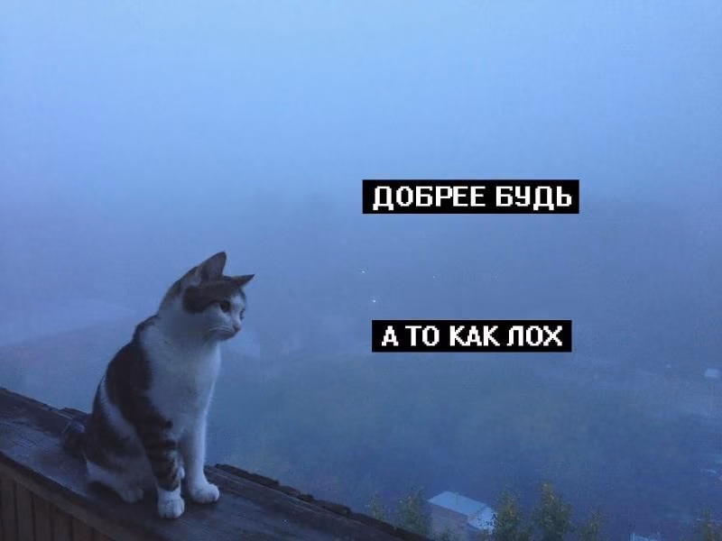 1fa08692da168d539adcf6248fca4243.avif