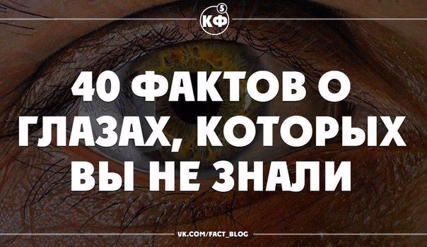 1fa38eb749cac8bd1450aafa31542101.avif