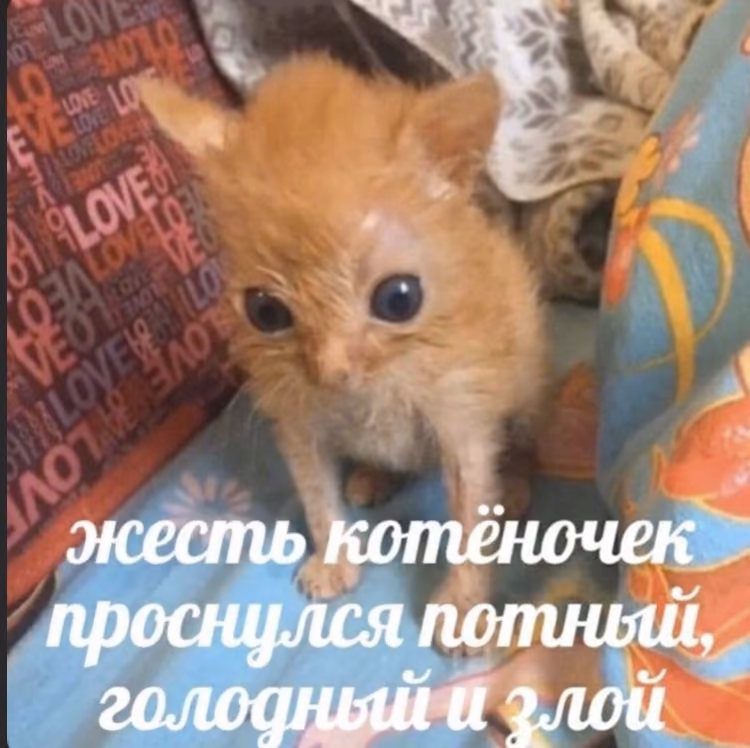 1fb9f138f1bec05e648ddc734e777b71.avif