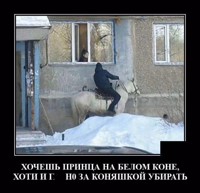 1fc5640437236b9388d74ae97b6ba504.jpg