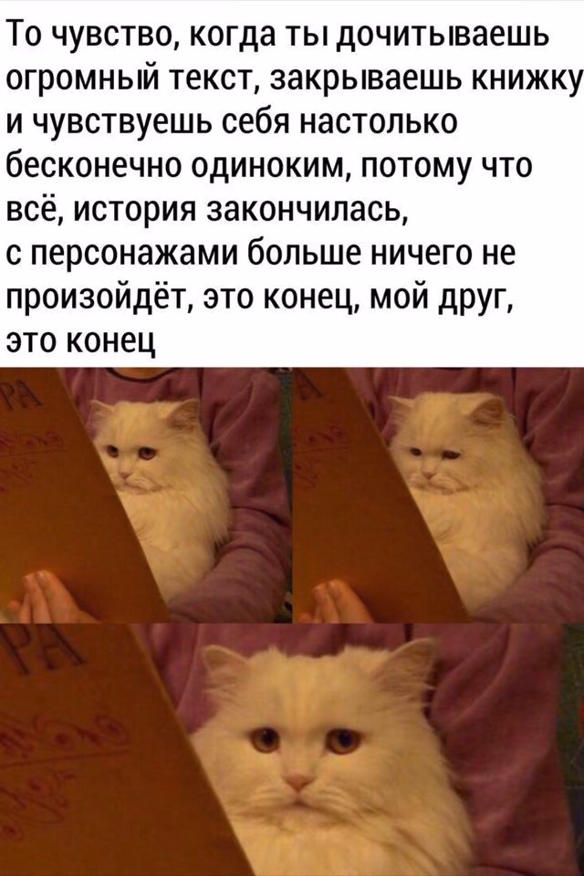 1fc9382f63457c469e71f9c3a197a42b.avif