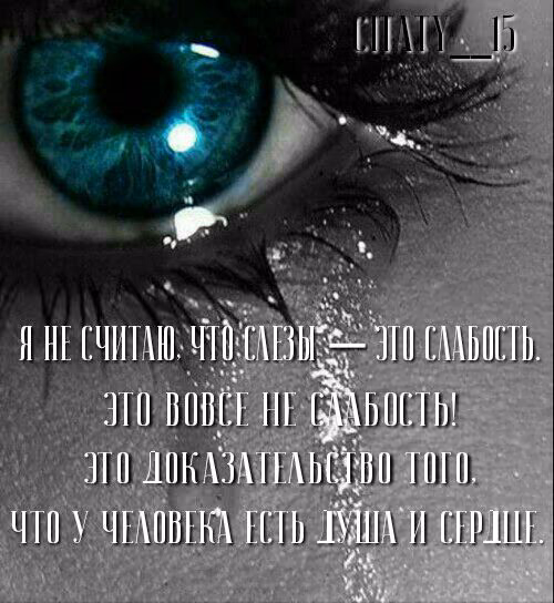 1fceadf4ed0ad6768e355926c664bcf3.jpg