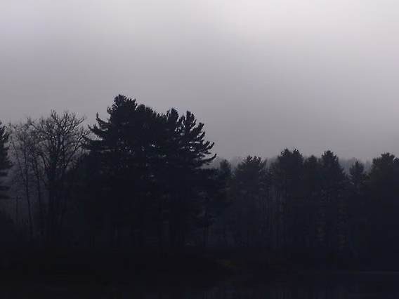 1fd53e0b260428cf7b84edd9211328b3.jpg
