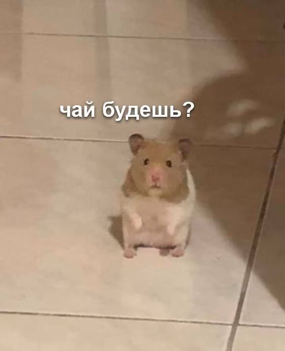 200f0d43f81b896d385ecf4520831ecd.jpg