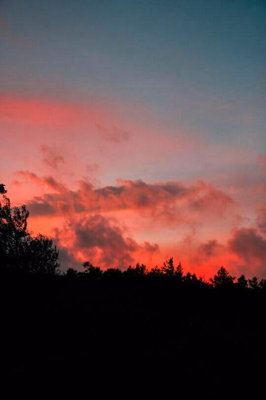 20101ec25529a9add177f022653a4e74.avif