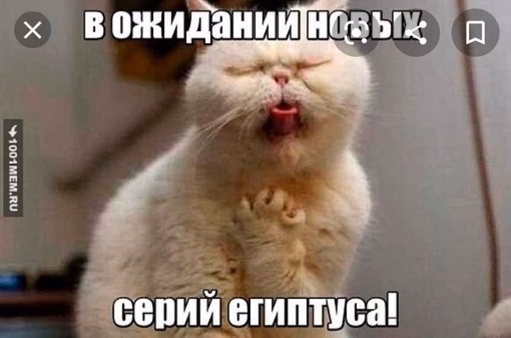 2016496da31db6705e9211b45389b546.jpg