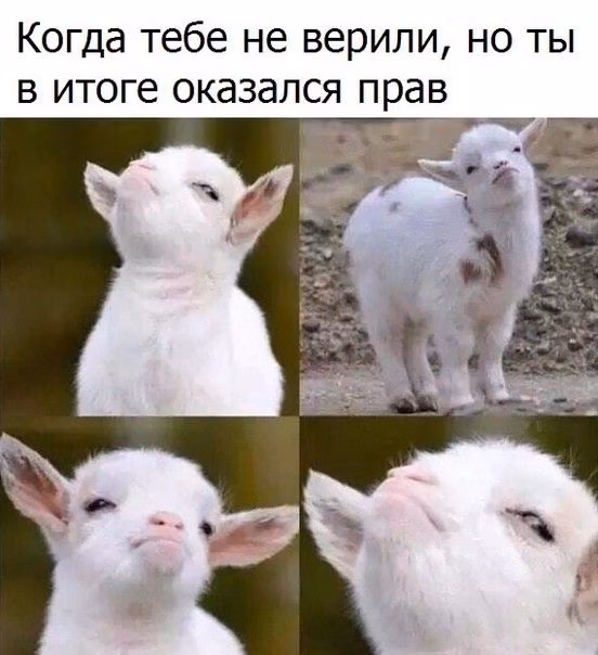 202ca1c3c10e044573f93d744223ac6e.jpg