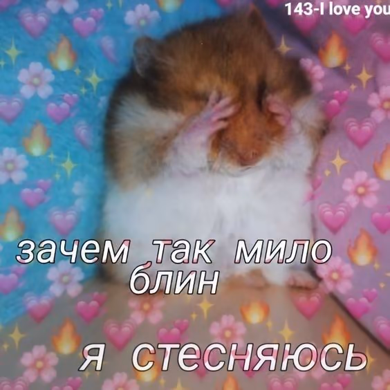 203bd8d2be68150a4bdd394467dd0352.jpg