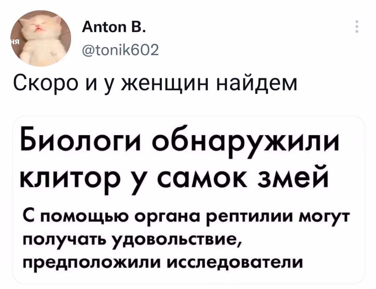 205180afc109c3240dac566a99420889.avif