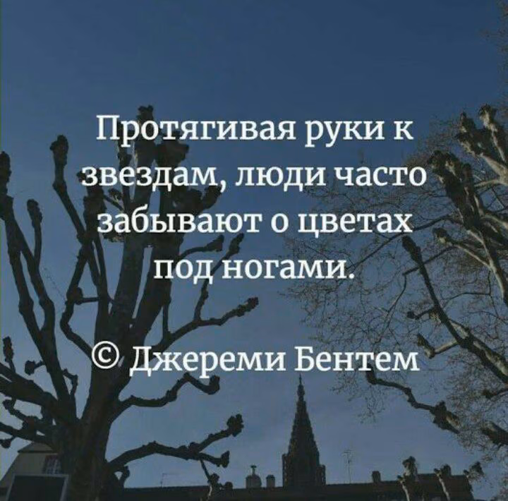 20531923e1448cb92af50ff73bccd34a.avif