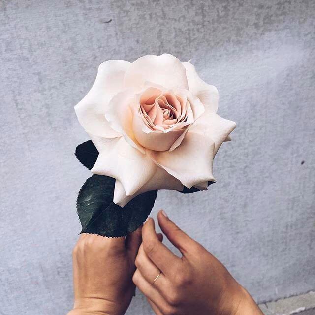 2053c4707ac729de37e7ec479eec5800.jpg