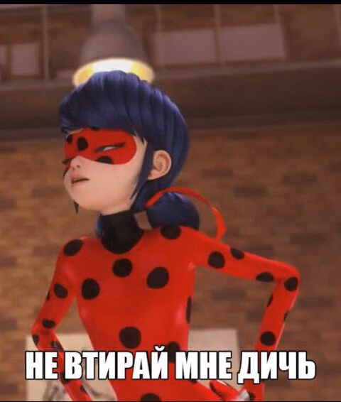 205ca26eb6d6d9fc54e7efb1894d848c.avif