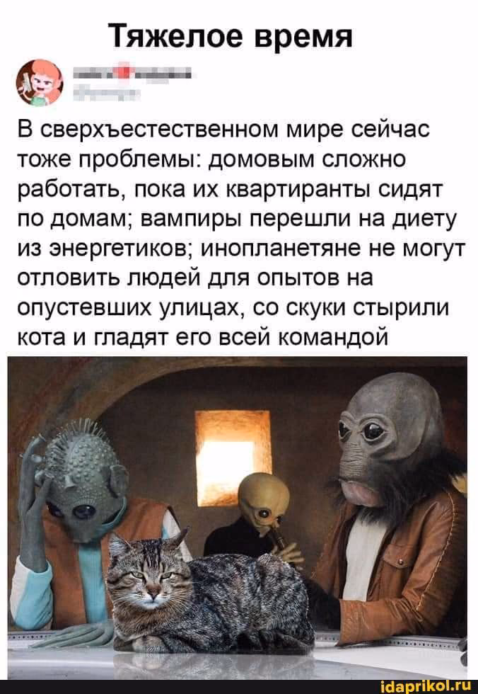20628f86cd31d6df866b8449ab552f29.avif