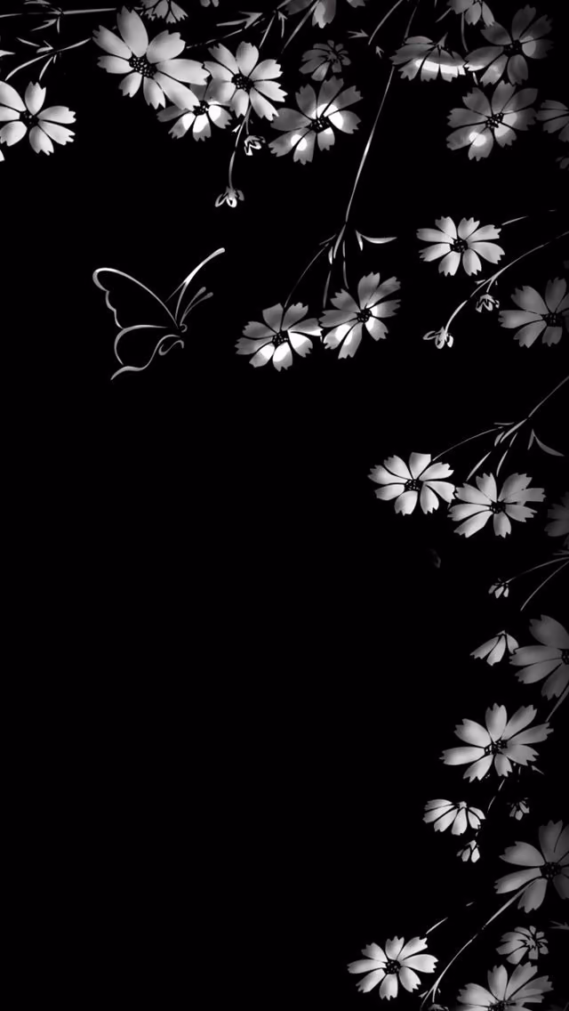 206aa774912d1383093a8fa663f0d33d.jpg