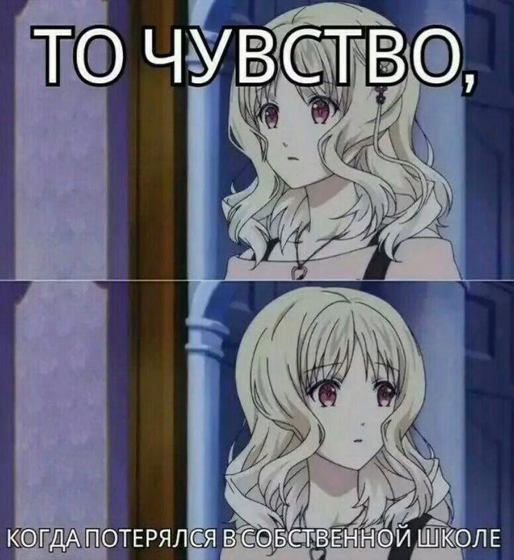 206abc860f0d5e7db0c7577bbb8f9cce.avif
