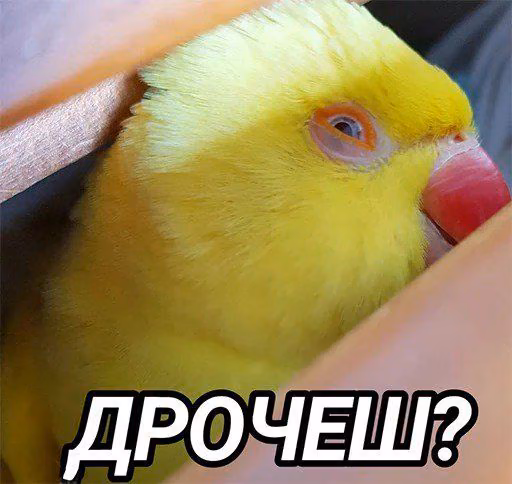 2088262f87a604405310fc227bf277f4.avif