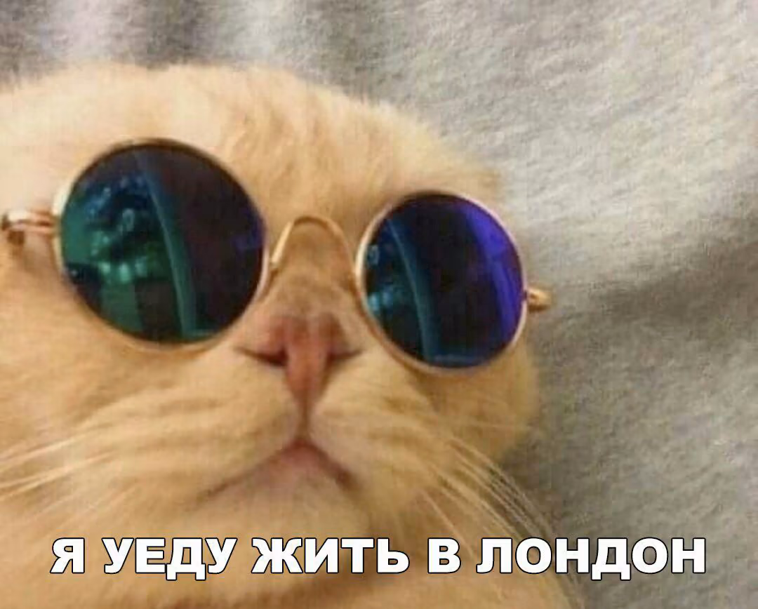 208a1c21f7fc50ad884791a7cc6420c5.jpg