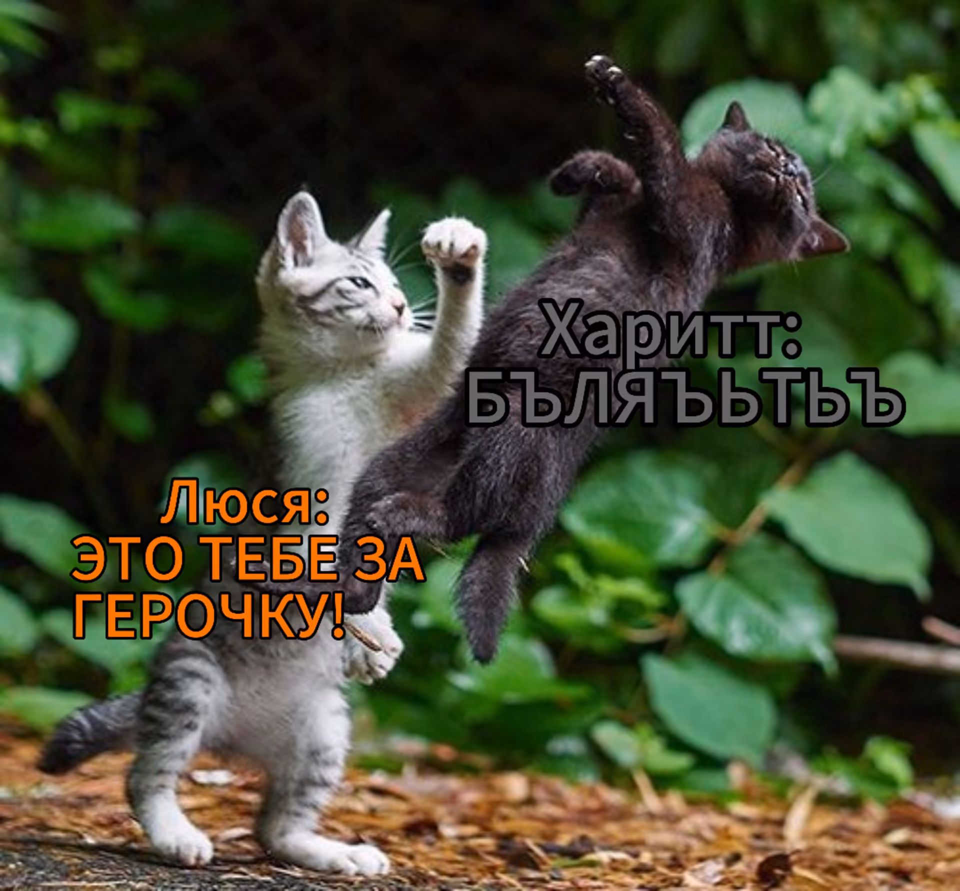 209853834c45da0da56b5c41d3ebffb2.avif