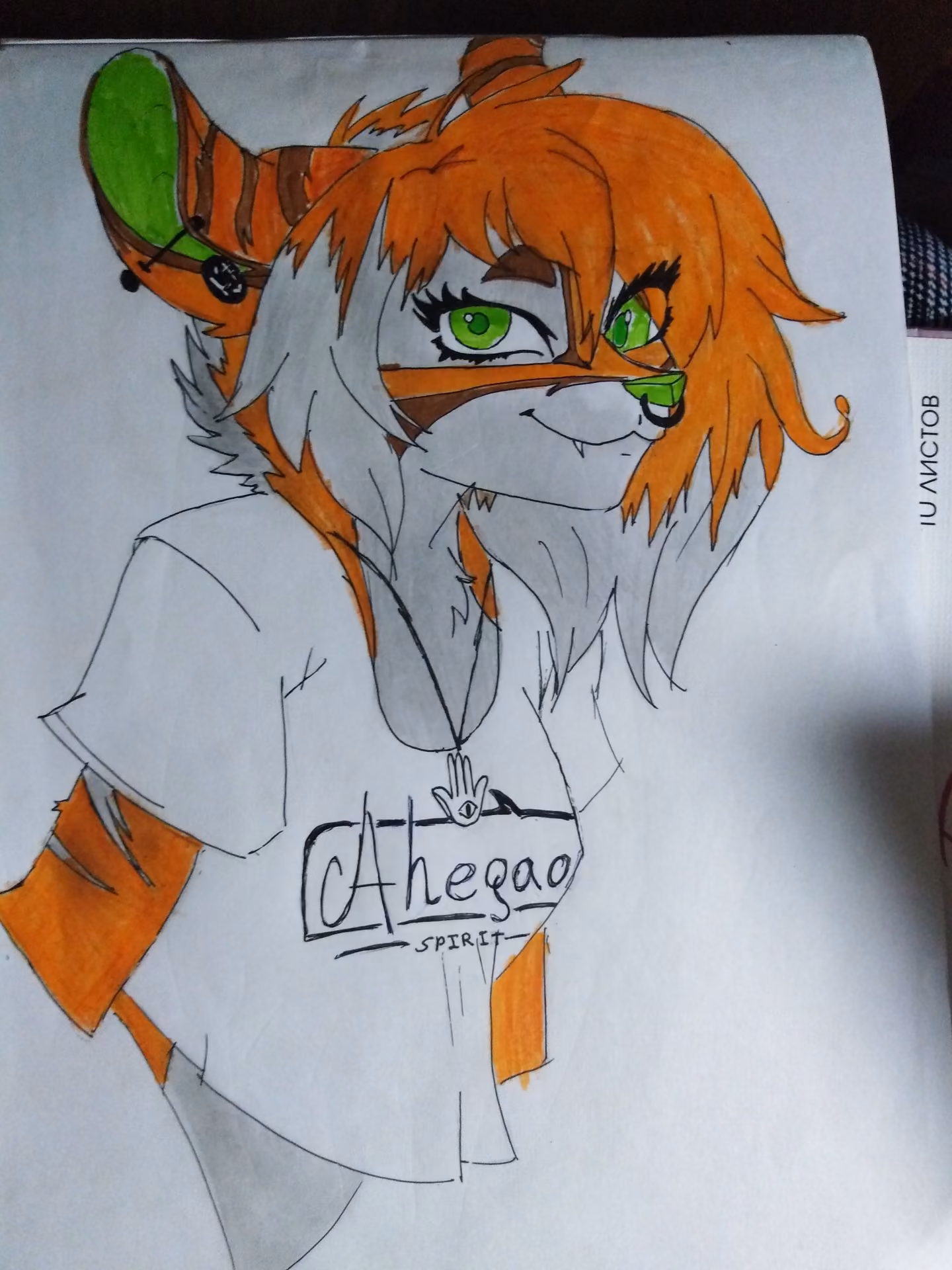 20afd863229feba8013151b73b70c643.jpg