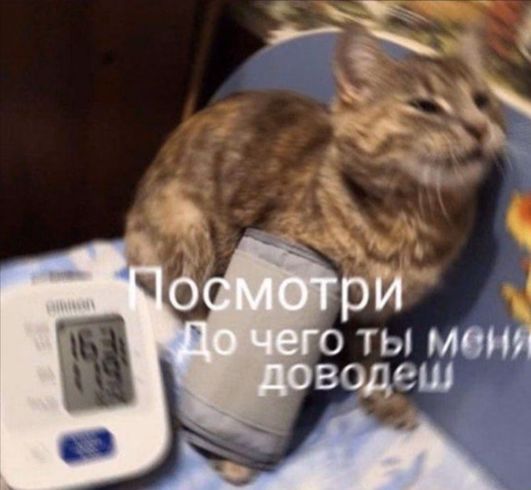 20bea65e4b4299bfd1fcc021007d59c7.avif