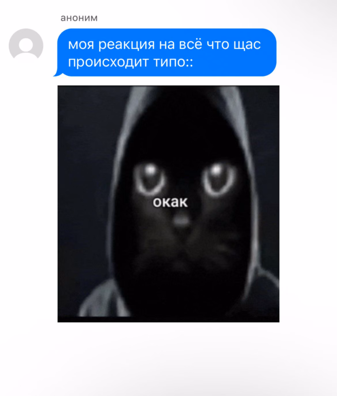 20c3465af36cdbdd02ac8cb43fc84409.avif